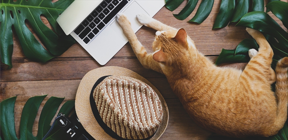 HPE Juniper Mist・Cisco Spaces による位置情報検証やってみた