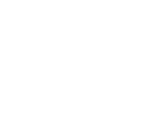 net one