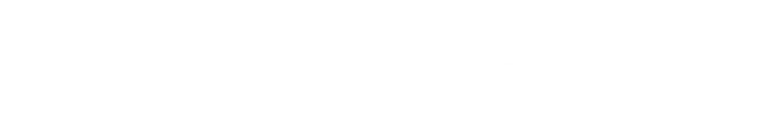 NET ONE BLOG