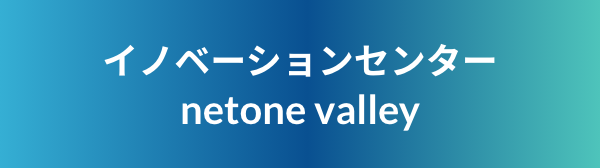Net One Valley