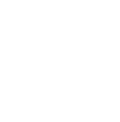 ローカル5Gによる
ネットワークを提供してほしい